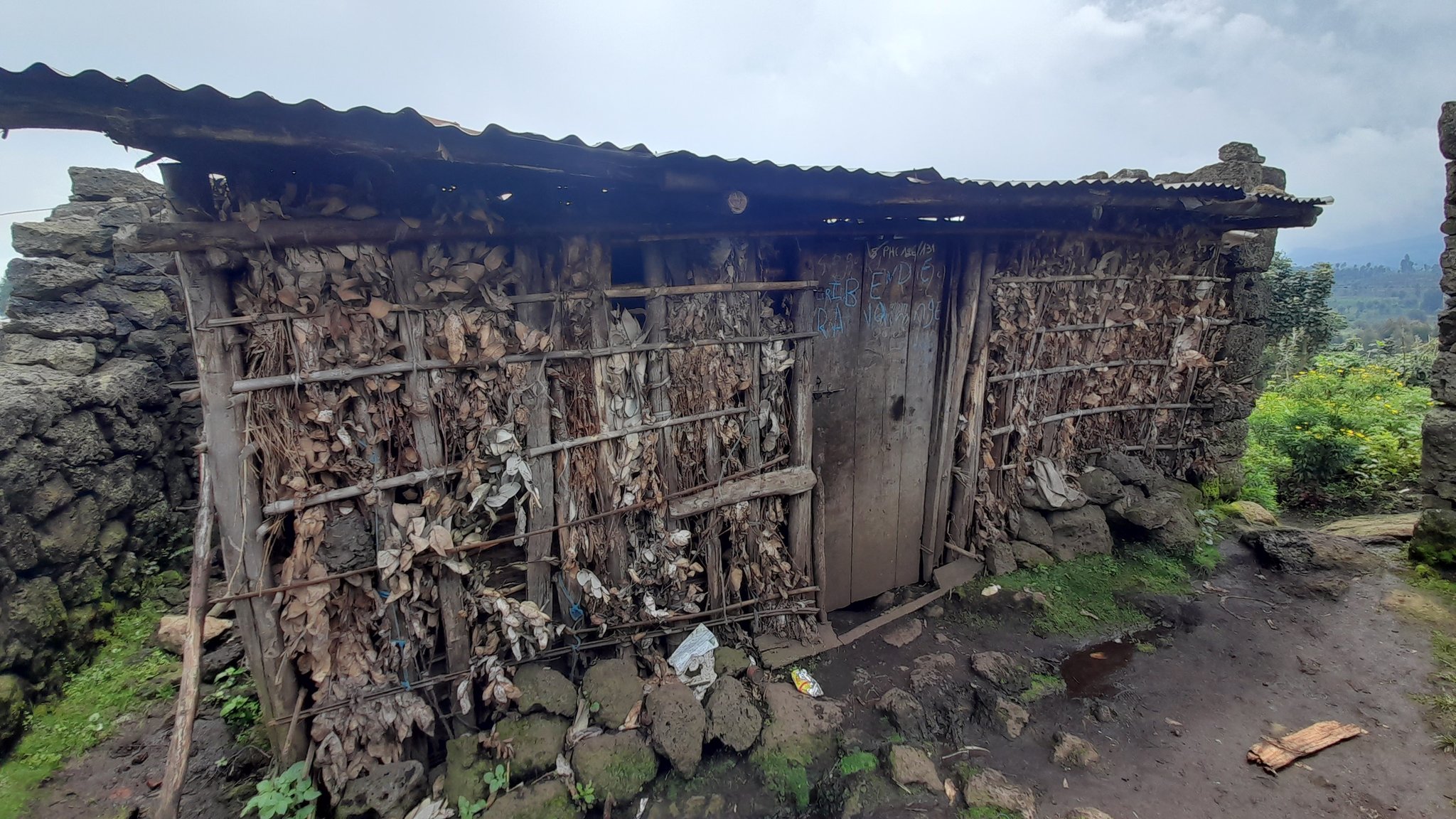 Nyabihu: Meya Mukandayisenga agiye kwikurikiranira ikibazo cy'umuturage wasizwe muri 'Nyakatsi'