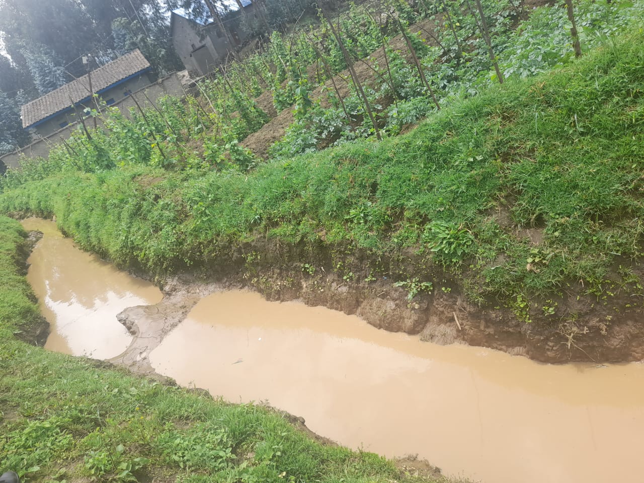 Nyabihu: Batewe impungenge n'amazi aturuka ku musozi wa Kanyampereri