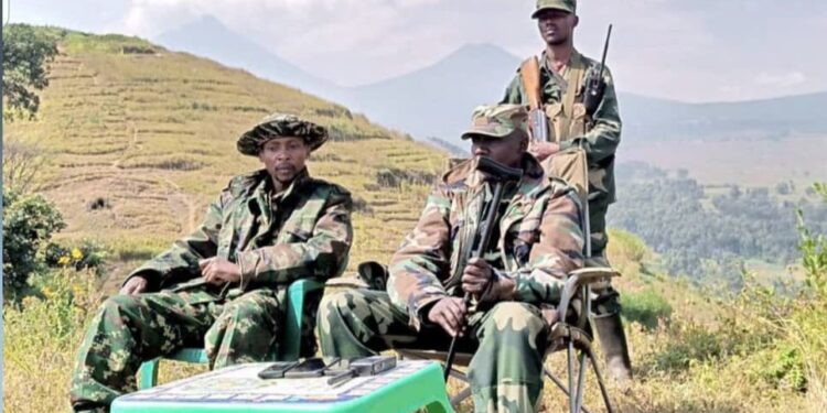 Abanyamakuru baha urubuga M23 bahawe gasopo