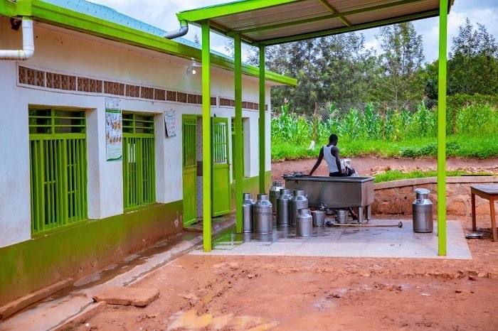 Gicumbi: Imyaka ibaye 6 aborozi bakusanyije agera kuri miliyoni 900 yo kubaka uruganda barahebye