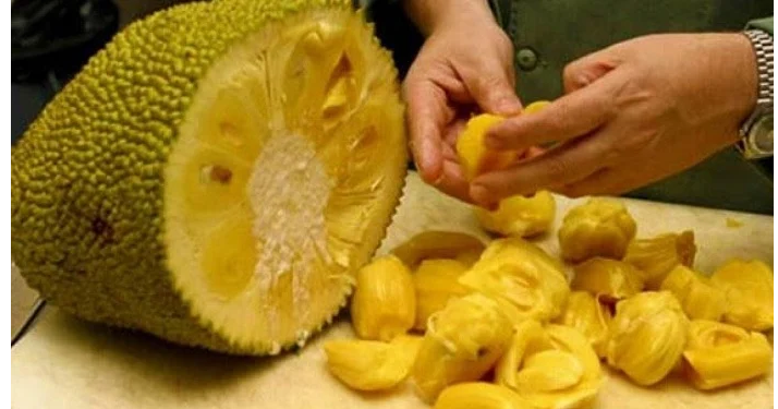 Igifenesi gishobora gusimbura inyama (ubushakashatsi)