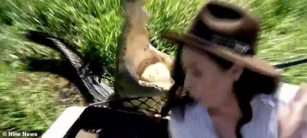 Umunyamakurukazi yarokotse amenyo y'ingona yashatse kumurya ubwo yafatiraga amashusho hafi yayo