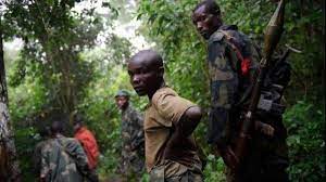 Loni yasanze FDLR ari yo igenzura Parike ya Virunga muri DR Congo