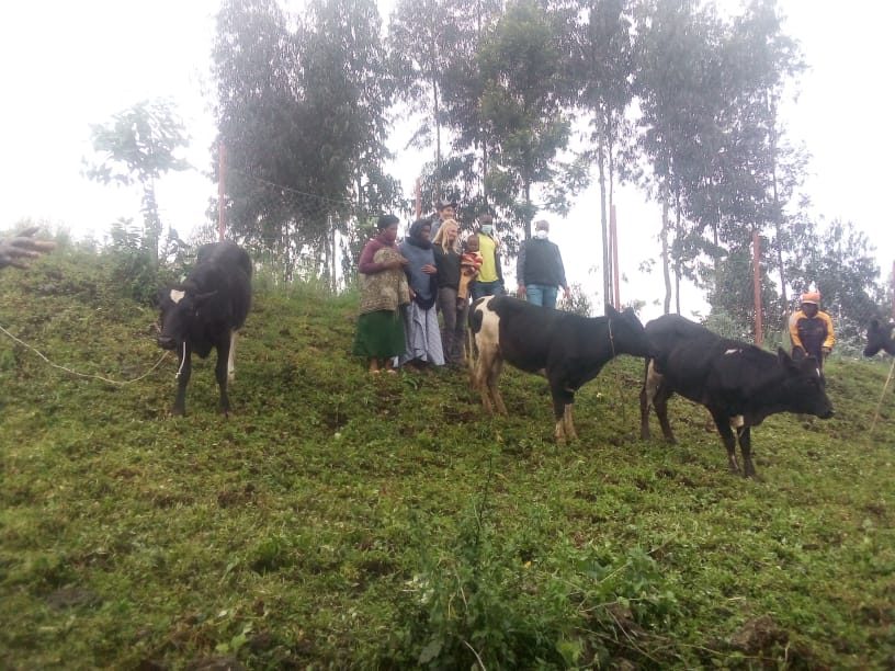 Musanze: Abakobwa babyariye iwabo boroje inka abarimo bagenzi babo