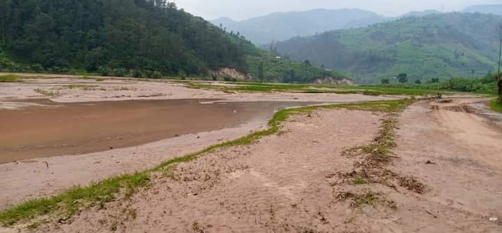 Ngororero: Imvura idasanzwe yangije hegitari 44 zari zihinzeho umuceri mu kibaya cya Mukungwa