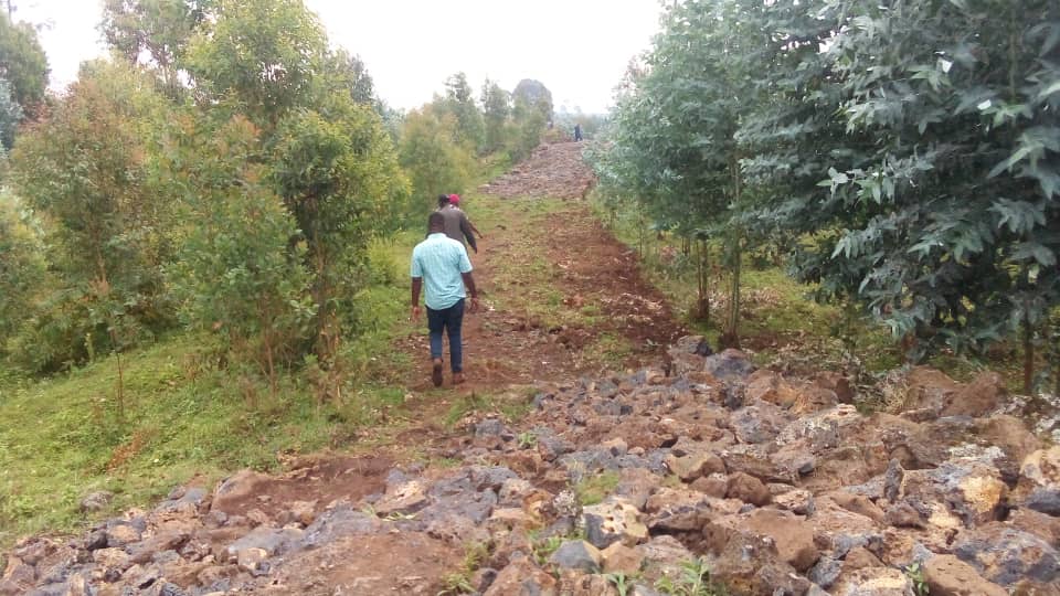 Musanze: Abaturage batewe impungenge n'imihanda icibwa mu masambu yabo nta bwumvikane bubayeho