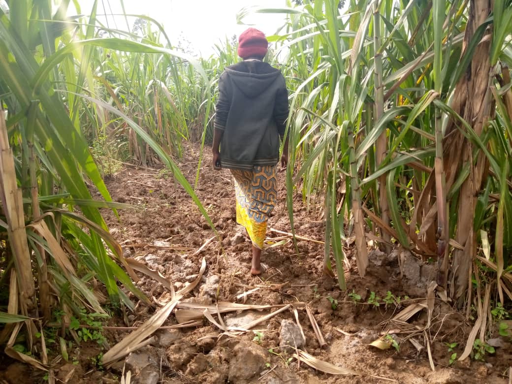 Gakenke :Bahangayikishijwe n'imyaka yabo yangirijwe ntibahabwe ingurane