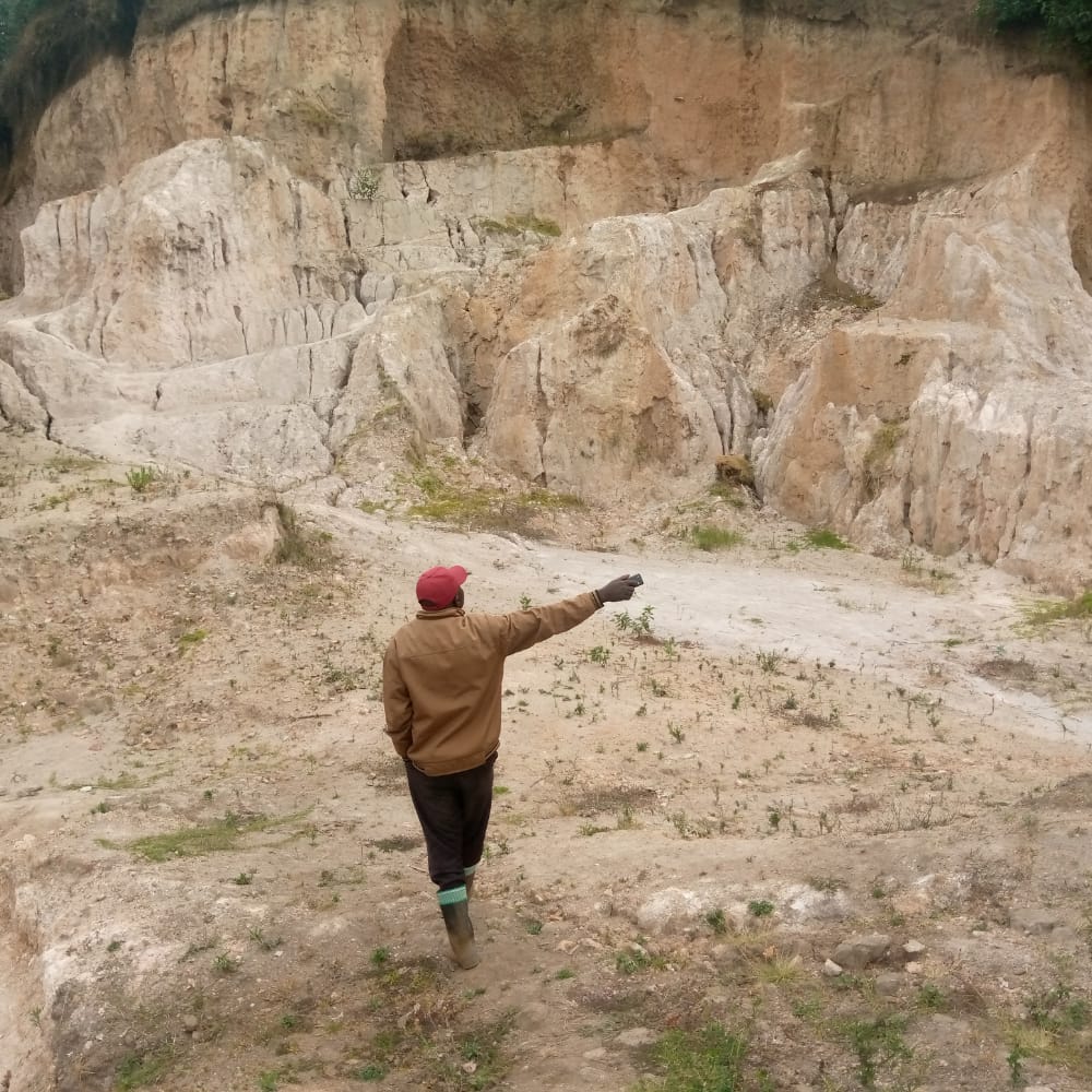 Nyabihu: Abagize koperative Terimbere Mubumbyi barataka inzara