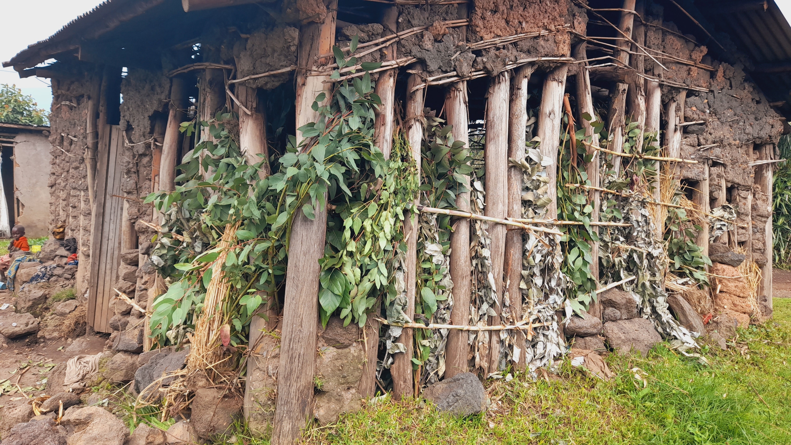 Burera: Umuryango w'abasigajwe inyuma n'amateka urara hanze ubuyobozi bubizi