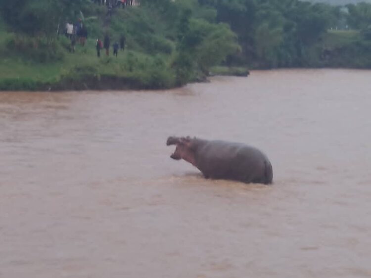 Gakenke: Abonewe n'Imvubu bakomeje gusiragizwa mu guhabwa ingurane