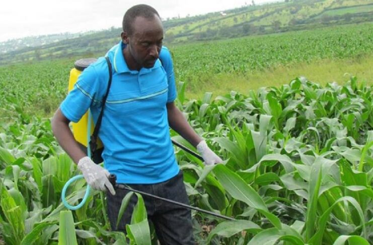 Ubuzima bw'abacuruza inyongeramusaruro buri mu kaga