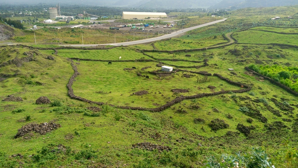 Musanze: Icyanya cyahariwe inganda cyahindutse urwuri