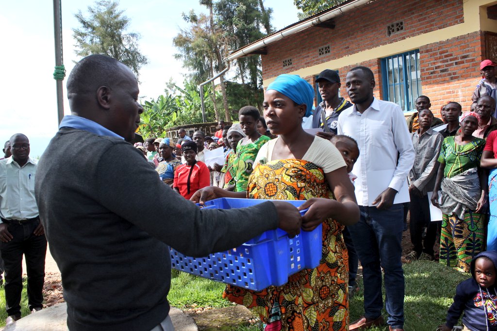 Musanze-Gashaki: Imiryango 85 yahawe inkoko zizabafasha guhangana n'ikibazo cy'igwingira mu bana