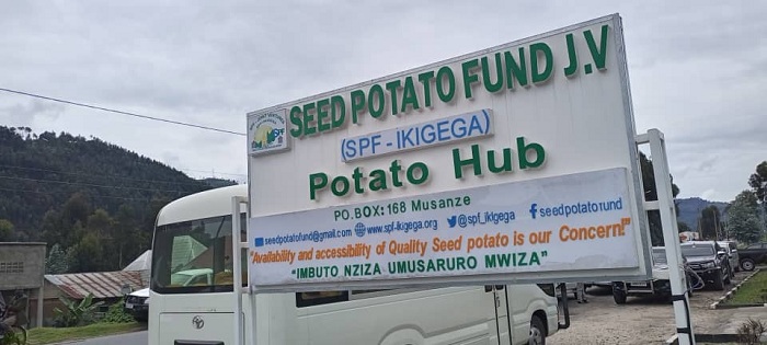 Musanze: Abahinzi b'ibirayi barashinja MINAGRI uburangare