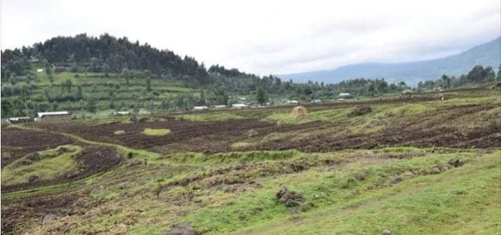 Abazimurwa ahazagurirwa Pariki y'Ibirunga bari mu rungabangabo