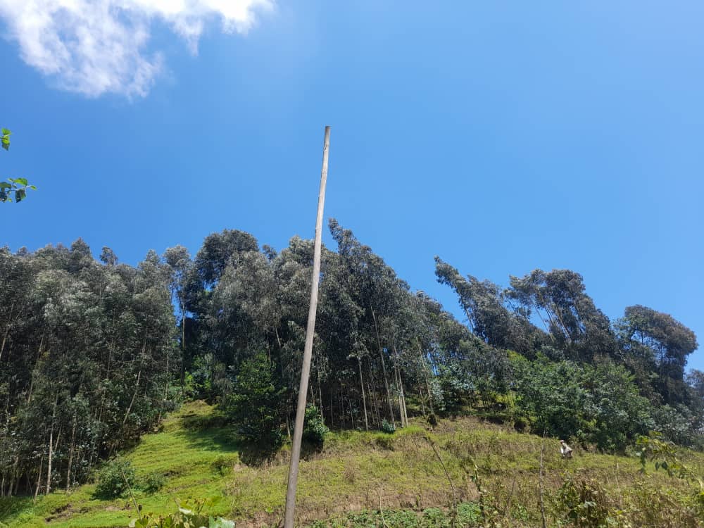 Nyabihu: Baca mu rihumye inzego z'umutekano bakiba insinga z'amashanyarazi