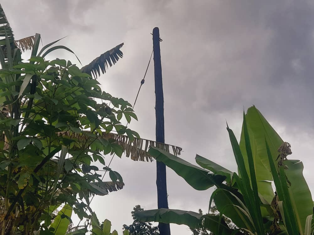 Musanze: Bamaze umwaka n'igice bahawe amapoto atagira amashanyarazi