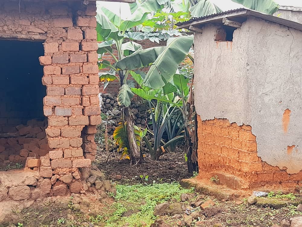 Musanze: Bamwe mu barokotse Jenoside yakorewe Abatutsi barasaba ko inzu zabo zasanwa