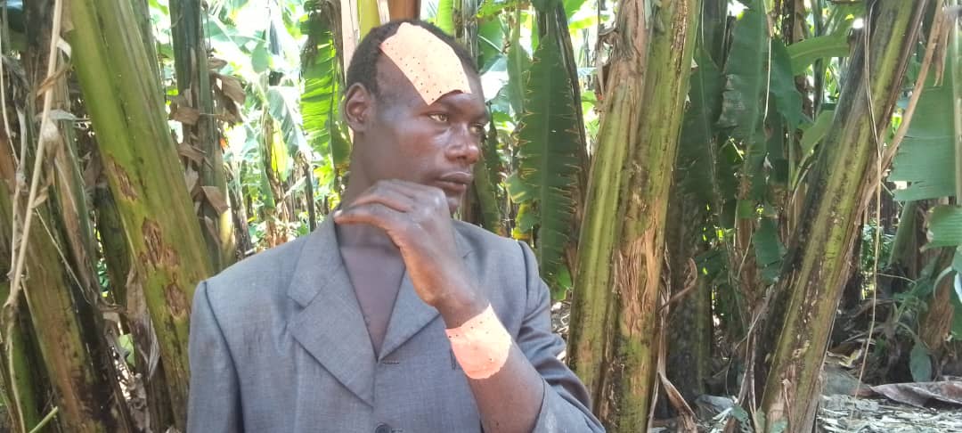 Rubavu: Abashumba bibasiwe n'umuntu uri kubatema