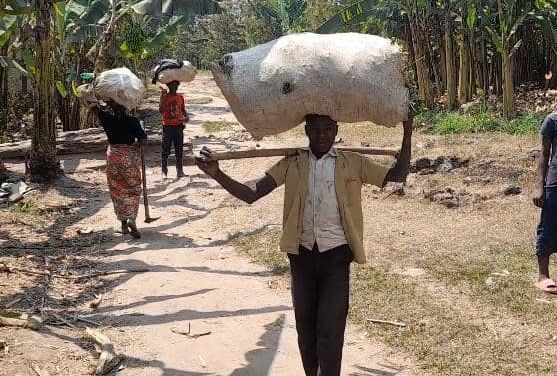 Gakenke: Bakomeje kuba mu icuraburindi no kumurikisha ibishishimuzo