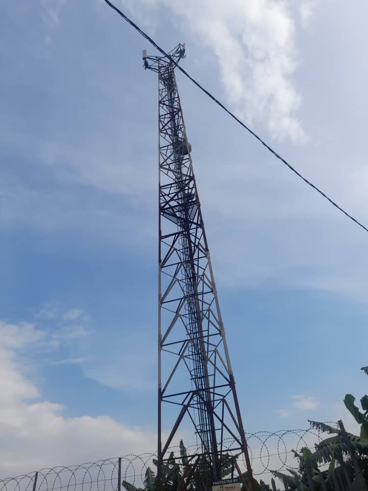 Musanze: Hari abaturage baracyurira imisozi n'ibiti bashaka rezo za telephone