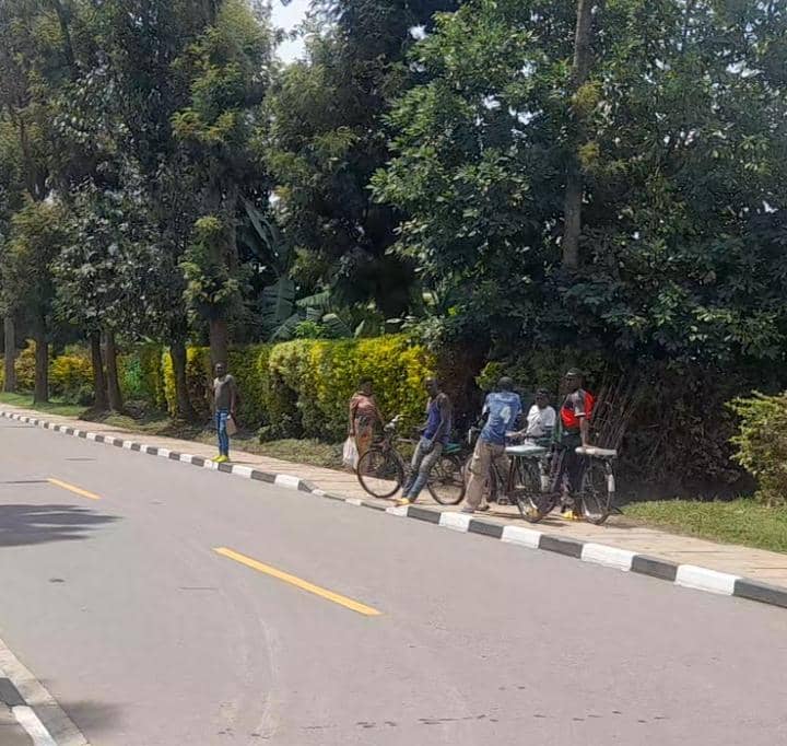 Musanze:"Gutera kaci" byongeye gukaza umurego