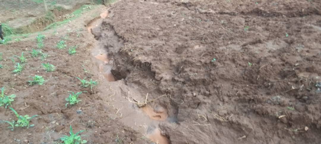 Rutsiro: Barakora kaburimbo bayobora amazi mu mirima y'abaturage