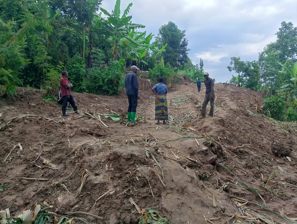 Rubavu: Babwiwe ko nta n'iripfumuye bazahabwa ku myaka yabo ikomeje kwangizwa mu gukora imihanda