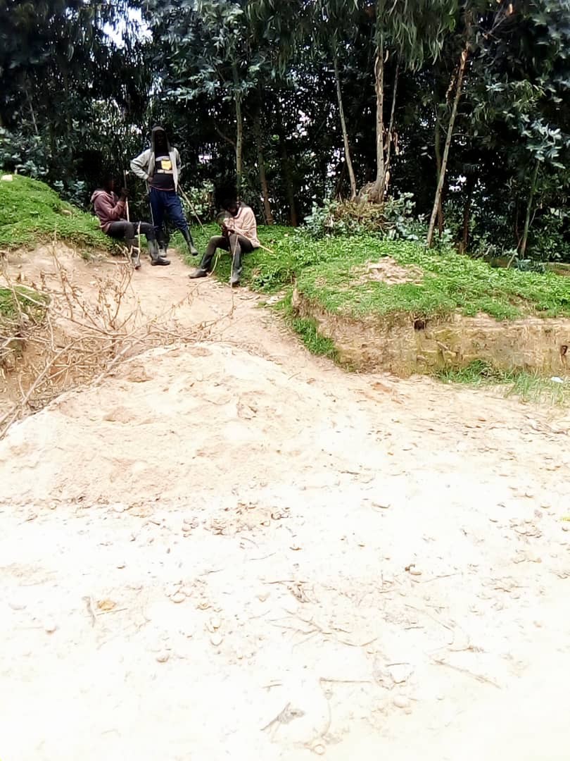 Ngororero: Abaturage barembejwe n'inkoni z'abashumba bo muri Gishwati, ubuyobozi buti ibyo si ikibazo! 