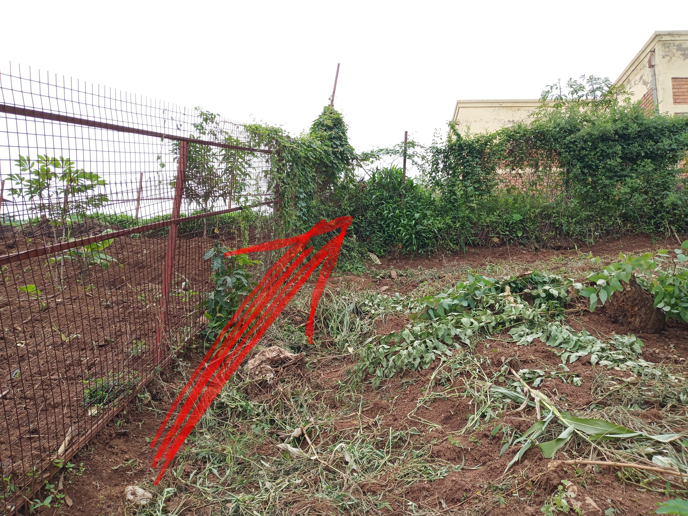 [AMAFOTO] Kigali: Abaturage barikoma urusengero Bethlehem rwabafungiye inzira nyabagendwa