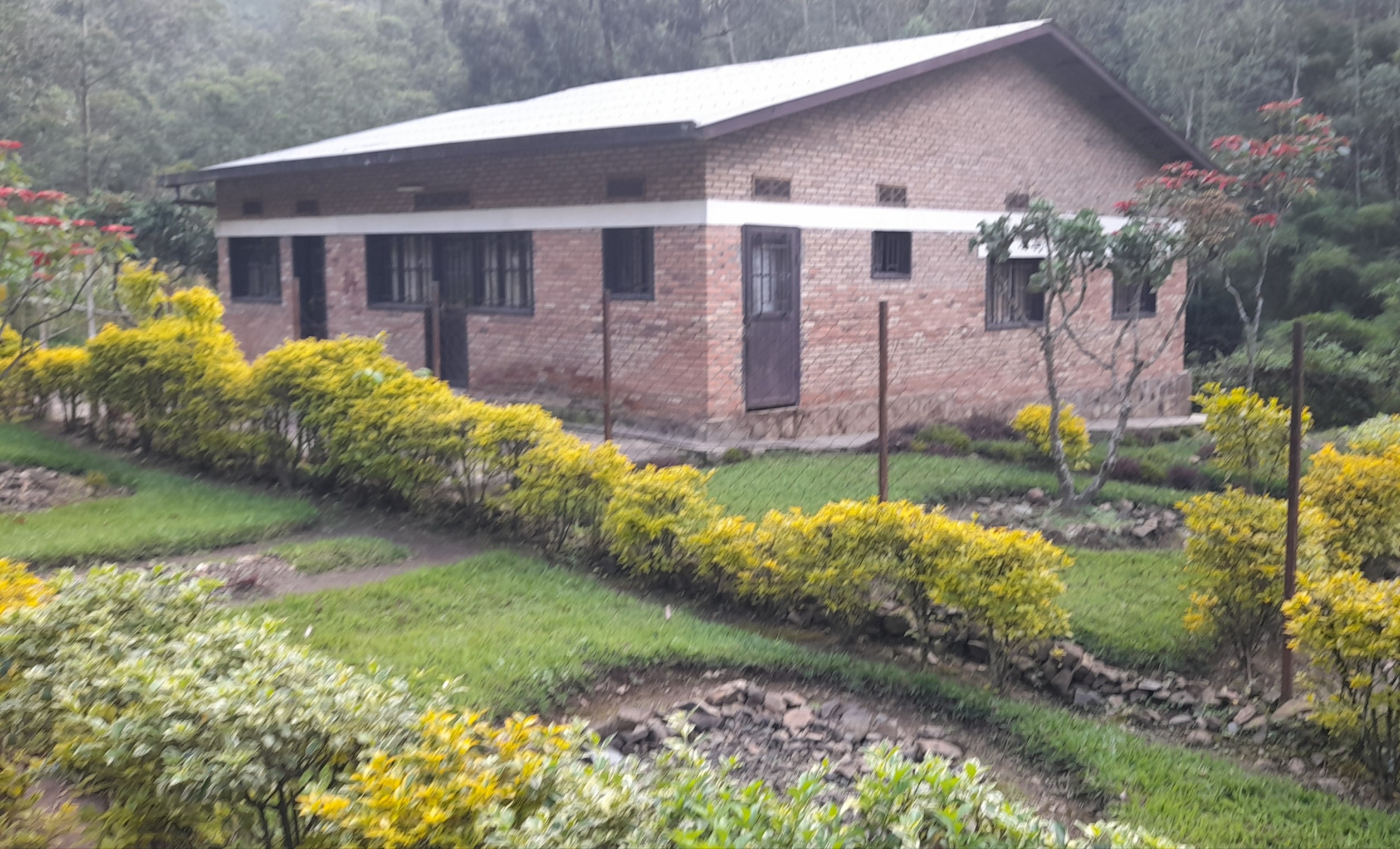 Rulindo: Ivuriro ry'amatungo rirengeje umwaka rifunzwe nta bisobanuro