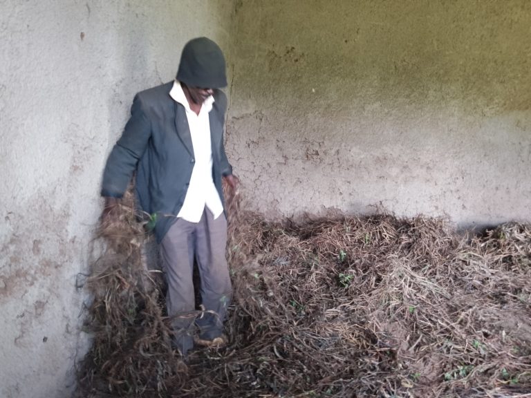 Agahinda k'abahinzi b'ibishyimbo mu Burasirazuba