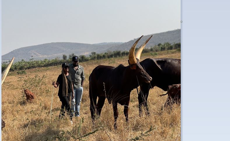 Perezida Kagame yashyikirije inka yagabiye abahanzi barimo Knowless na Clement