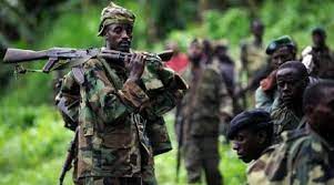 FDLR yanyomoje ubutegetsi bwa Congo