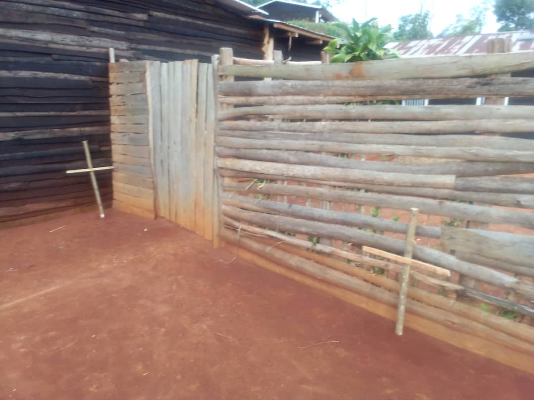 Rusizi: mu rugo rw'uwarokotse Jenoside bahasanze imisaraba ibiri