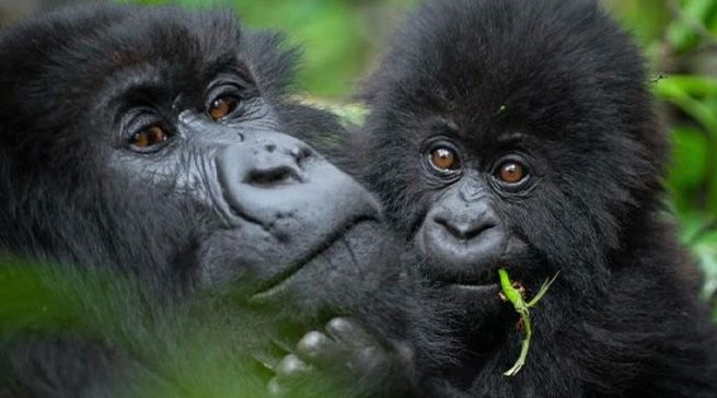 Byaba bibabaje hagize umuntu uzarya muri hoteli zacu agasubirayo ataka mu munda-Guverineri Mugabowagahunde